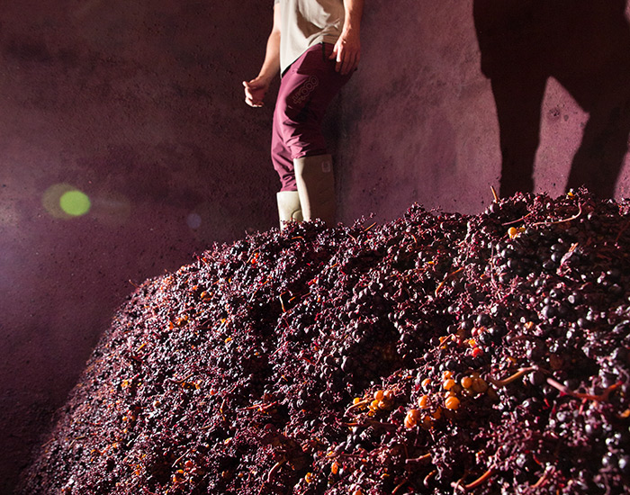 Elaboración tradicional para vinos únicos de Rioja