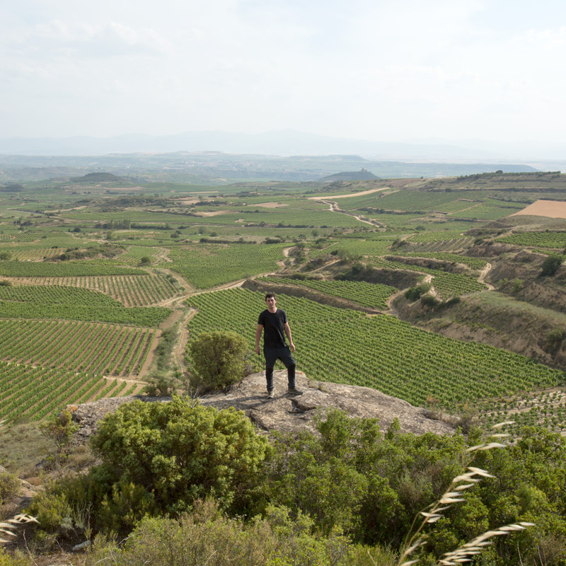 Israel rodeado de los viñedos de Bodegas Eguíluz