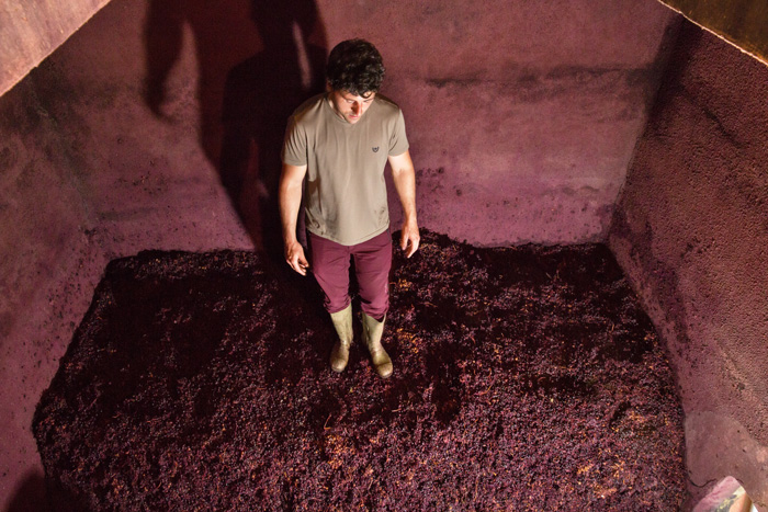 Método tradicional del pisado de la uva para elaborar vino de Rioja